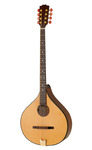 Ierse Bouzouki